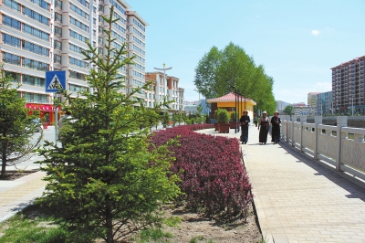 12539320_069129.jpg