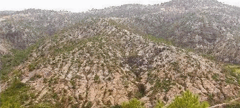 5.gif