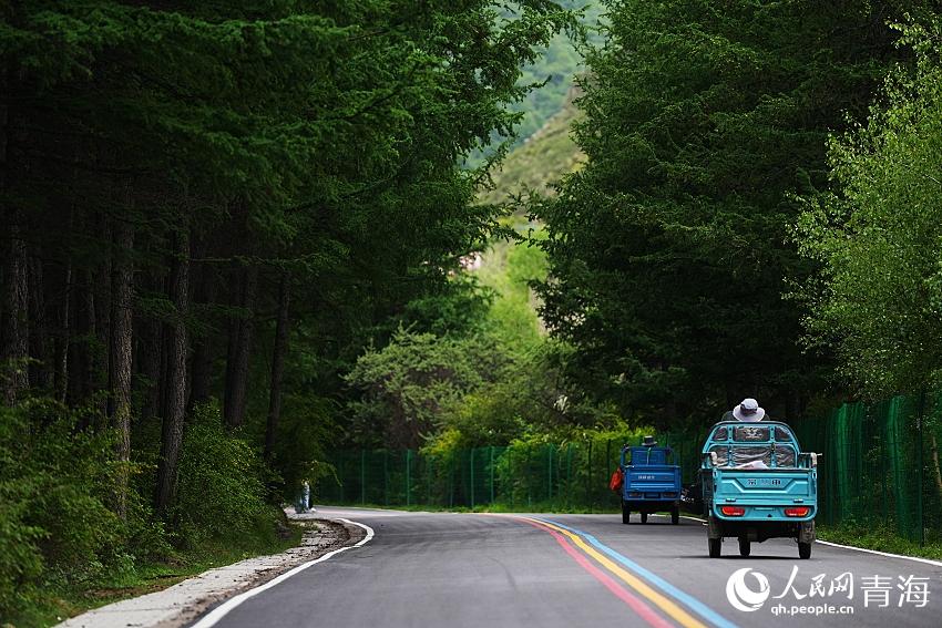 蜿蜒的山路。人民網(wǎng) 陳明菊攝