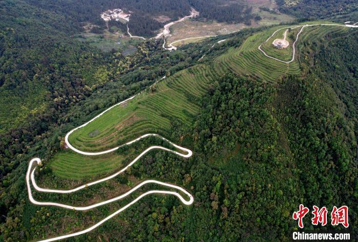 圖為西藏林芝市墨脫縣背崩鄉(xiāng)格林村山頂?shù)木坝^茶園。(無人機照片) 李林 攝
