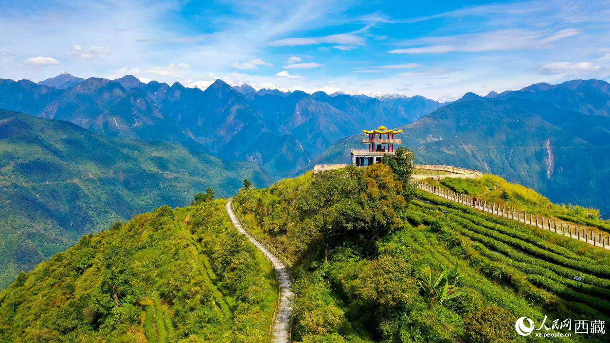 無人機航拍墨脫縣格林村蓮花觀景臺。人民網(wǎng)記者 次仁羅布攝