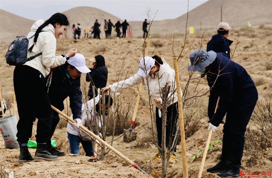 植樹活動現(xiàn)場。人民網(wǎng) 顧斐菲攝